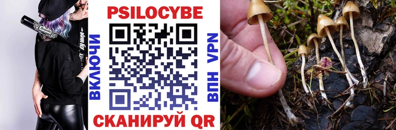 где купить наркоту Пущино Псилоцибиновые грибы Magic Shrooms