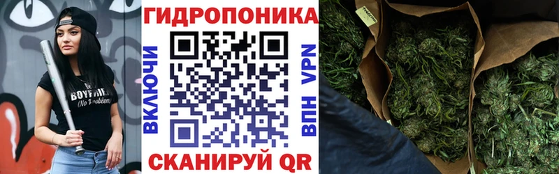 Канабис конопля Пущино